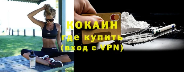 стафф Аркадак