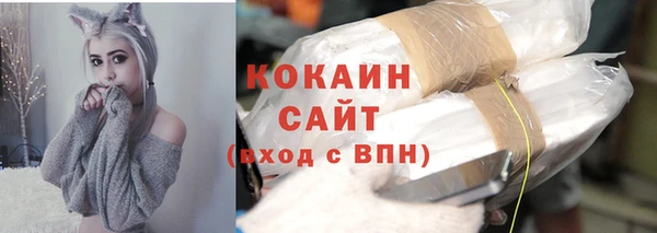 стафф Аркадак