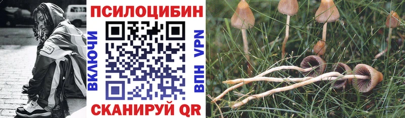 наркотики  Руза  mega как зайти  Псилоцибиновые грибы мухоморы 